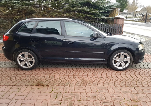 Audi A3 cena 22900 przebieg: 265000, rok produkcji 2008 z Kielce małe 67